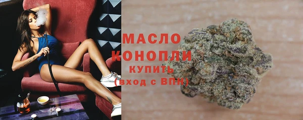 стаф Инта