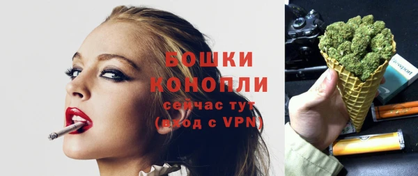 стаф Инта