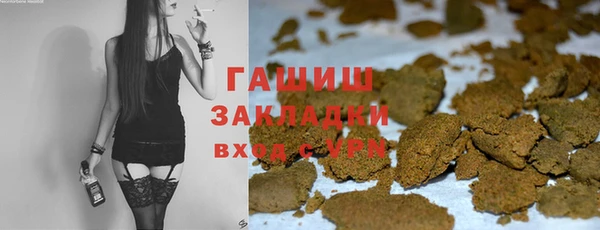 стаф Инта