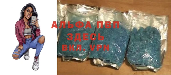стаф Инта