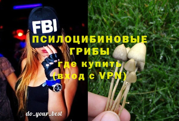 стаф Инта