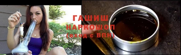 стаф Инта