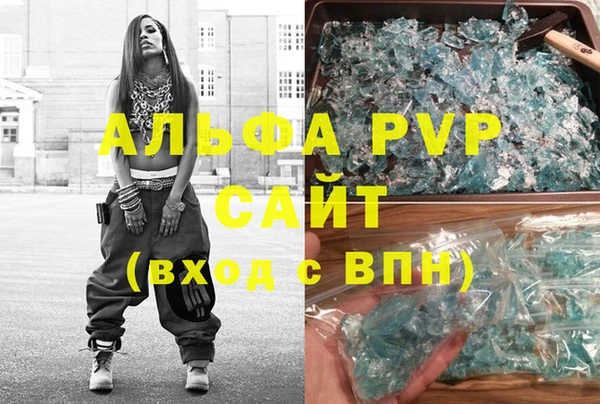 стаф Инта