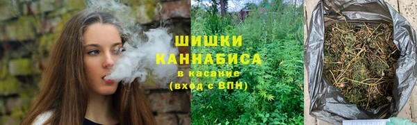 стаф Инта
