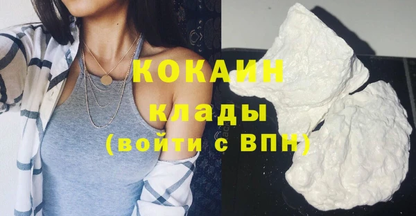 стаф Инта