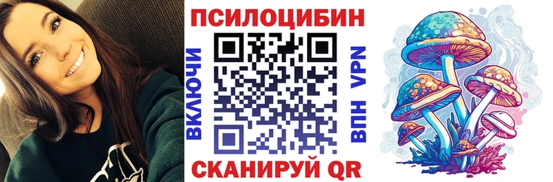 Купить закладки  Усолье  Псилоцибиновые грибы Psilocybine cubensis 